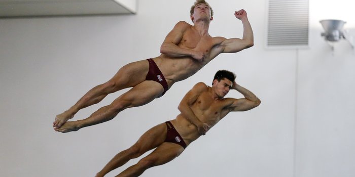 2014 Diving