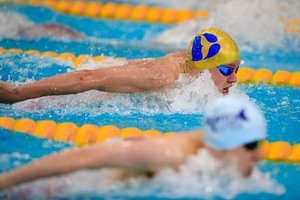 British Summer Champs 2019 generic butterfly