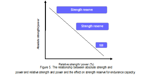 The relationship between absolute strength and power and relative strength and power and the effect on strength reserve for endurance capacity.