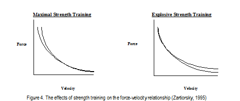 Maximal/ Explosive Strength Training