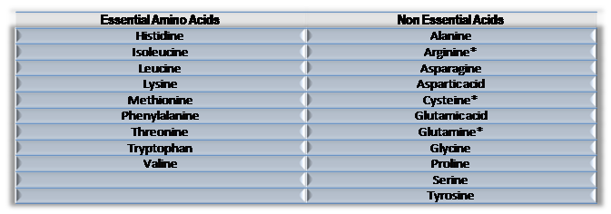 Essential and Non Essential Acids