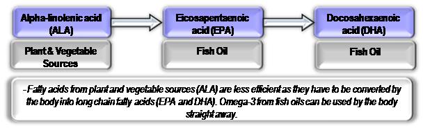 Fatty Acids