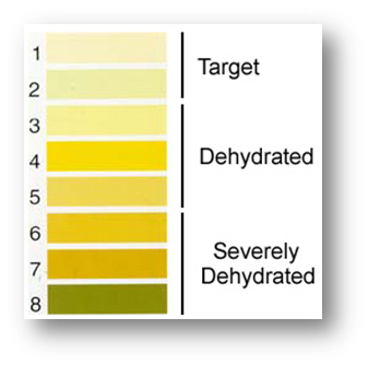 Monitoring Fluid Loss